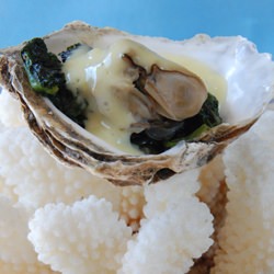 Poached Oysters