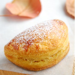 Chestnut Cream Turnover