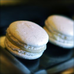 Macaron ‘Infinitely’ Vanille