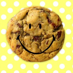 Chocolate Chip Cookie