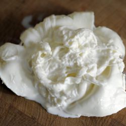 Burrata Cheese