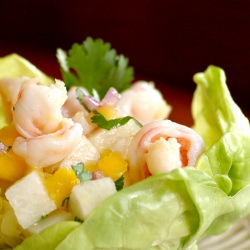 Shrimp, Jicama and Mango Salad