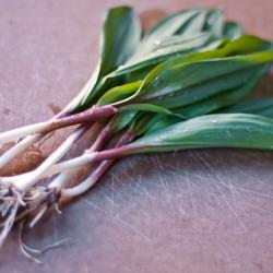 Ramps