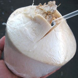 Coconut Juice Outta a Real Coconut