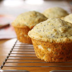 Lemon Poppy Seed Muffins