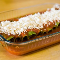 Bean Enchiladas