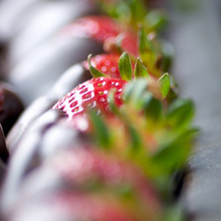 Chocolate-covered Strawberries