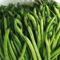 Spicy Green Beans