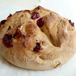 Whole Wheat Cranberry-Apricot Bread