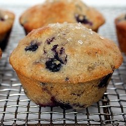 Blueberry Muffins