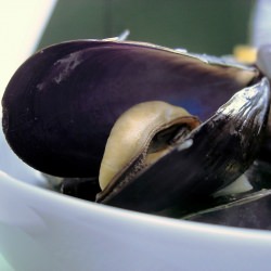 Mussels Steamed with Spicy Broth