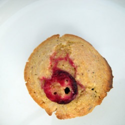 Cranberry Masa Mini Muffins