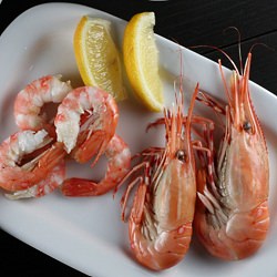 BC Spot Prawns