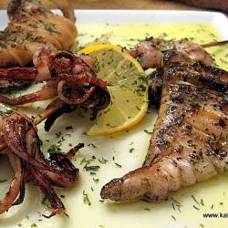 Grilled Calamari