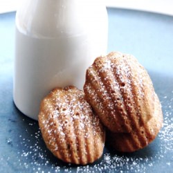 Zucchini Madeleines