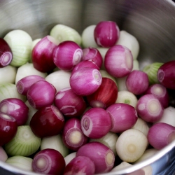 Red and White Shallots