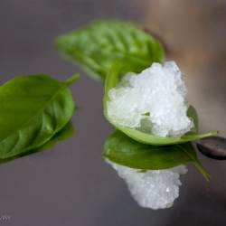 Basil Lemon Granita