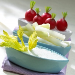 Yogurt, Cucumber and Lemon Dip