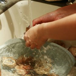 A Magical Way to Clean Clams