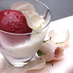 Raspberry Sorbet/Rose Whipped Cream