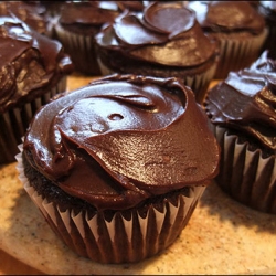 Chocolate Cupcakes