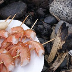 Spot Prawns Ready for the Fire!