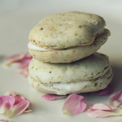 Pistachio Rose Water Macarons