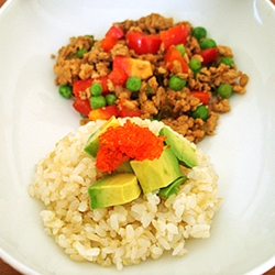 Turkey and Avocado Donburi