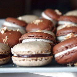 Chocolat Macarons