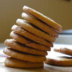 Vanilla Spice Cookies