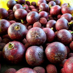 California Mangosteens