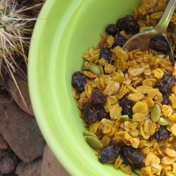 Homemade Fruit and Nut Granola