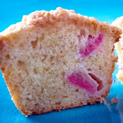 Rhubarb Cardamom Lime Muffins