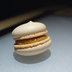 Salted Caramel/Brown Butter Macaron