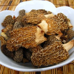 More More Morels