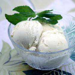 Vanilla Bean Frozen Custard