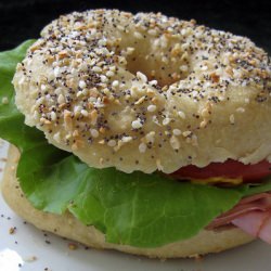 Everything Bagel Sandwich