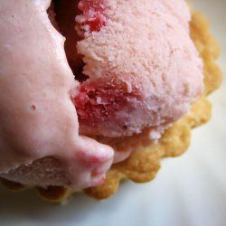 Strawberry Rhubarb Ice Cream