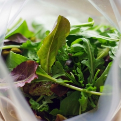 Mesclun Greens