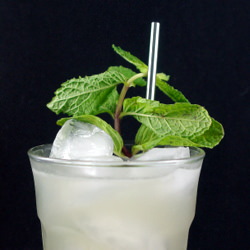 Gin-Gin Mule