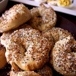 Sea Salted Everything Bagels