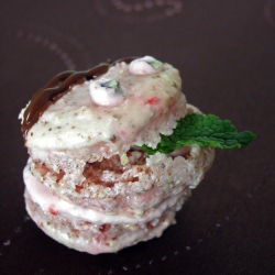 Strawberry Mint Macaron Monster