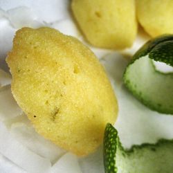 Coconut Lime Madeleines