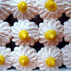 Daisy Cakes