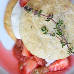 Strawberry-Rhubarb & Thyme Shortcake