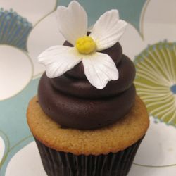 Flower Cupcakes