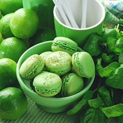 Macha Macarons with Lime & Basil