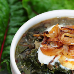 Puy Lentils and Rhubarb Chard