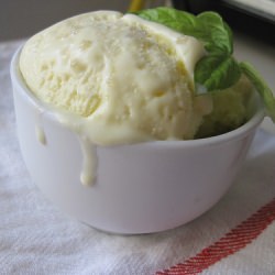 Olive Oil Ice Cream