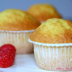 Ligurian Lemon Cake – Pierre Hermè